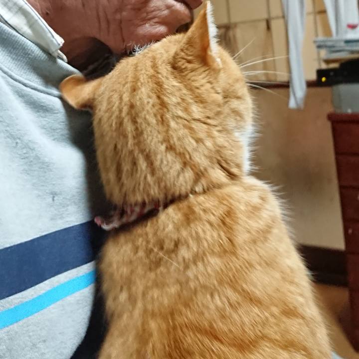 011cb971 f8c5 4db2 8ecb f382ff343602 1607888684818