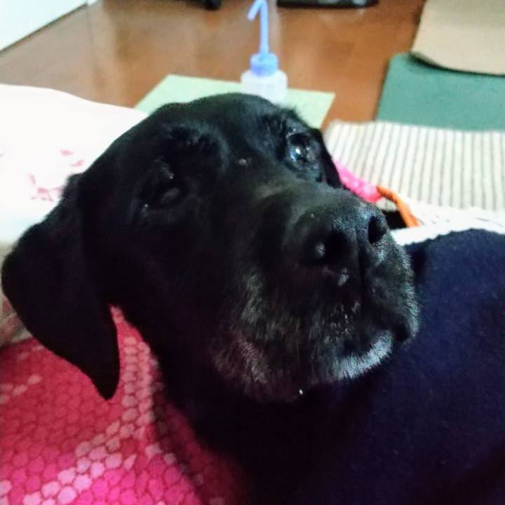 011cbcc6 2d50 4a0a a96b d20c318a8936 1717455350271