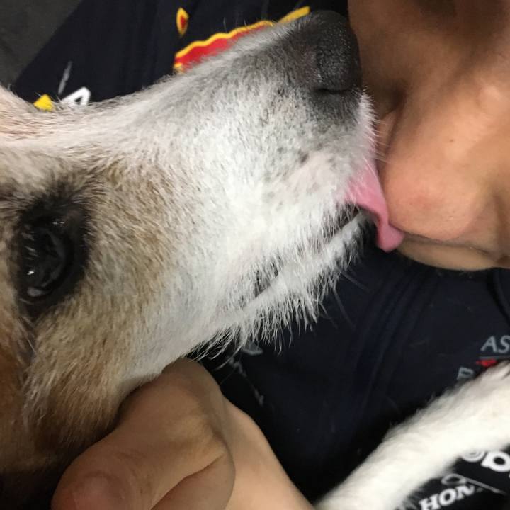 011cd103 b039 4970 a4cc 7b046d7733ac 1611964624570