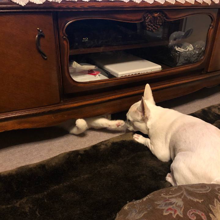 011d02ff 43a7 494d 9d5f 0ae18f66d91d 1583551048744