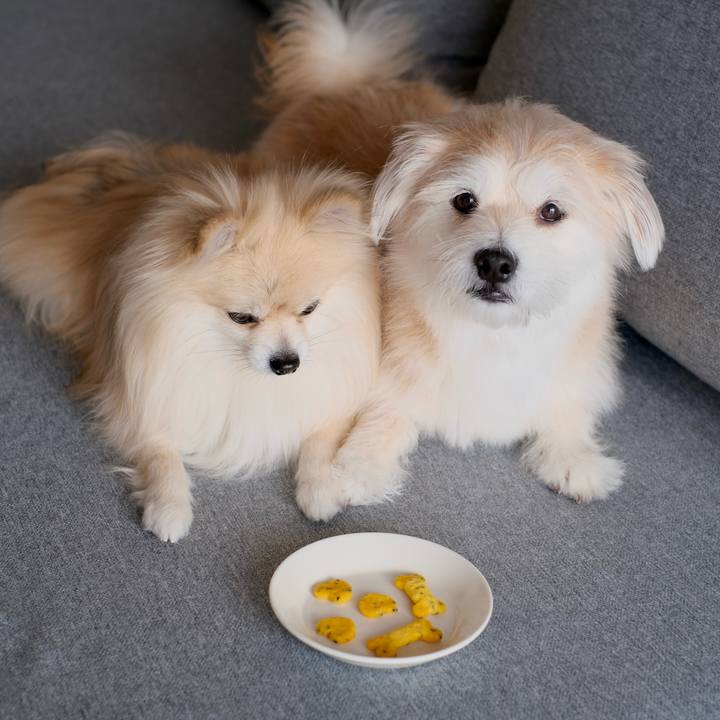 011d04c2 f776 4c91 9f59 19bf68e8996f 1771024006136