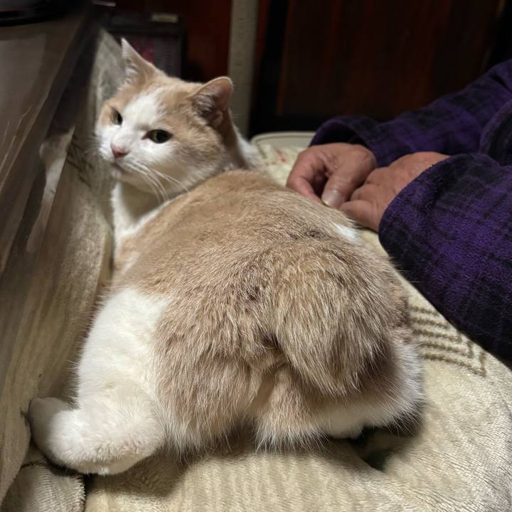 011d243f 586c 42cb bb3c 0f3a0efe3f5e 1774217921816