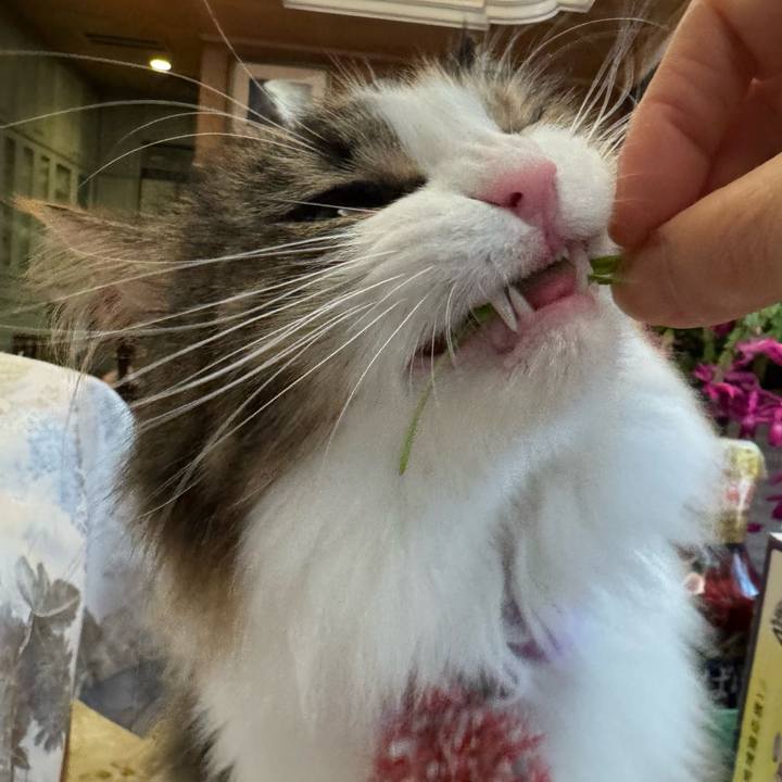 011d5780 5e11 45ae 8db5 a400ab5c25cd 1767063245564