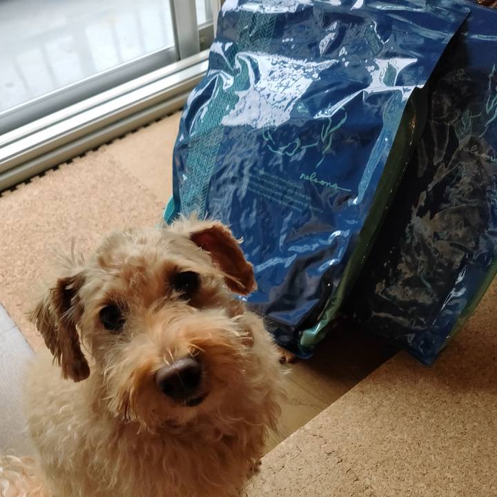 011d6222 a0a1 45ef b142 e36b1e484f5b 1594891106544