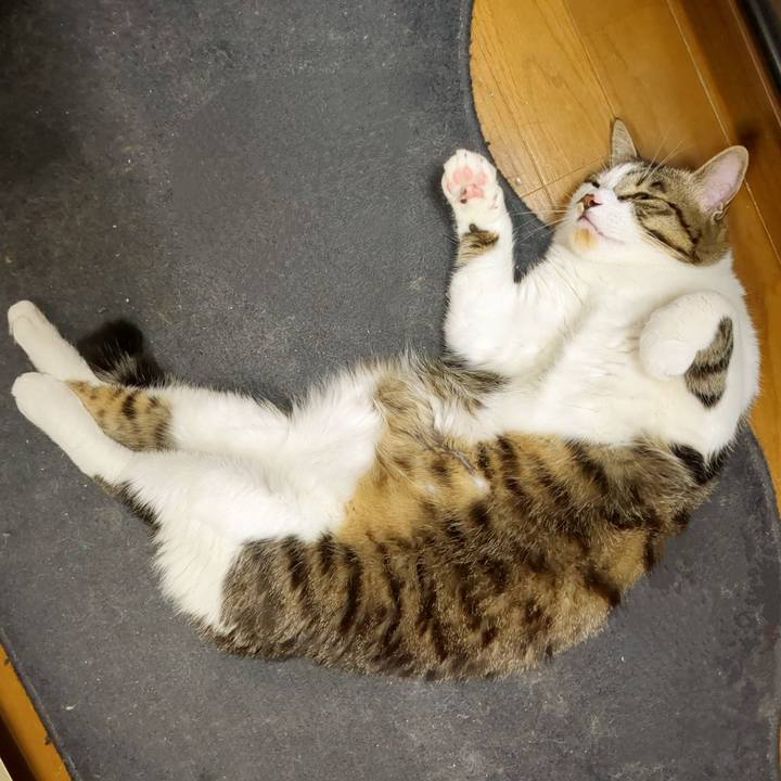 011d96a7 aaad 445d 8b3c 0e718ea3a9bc 1681039658556