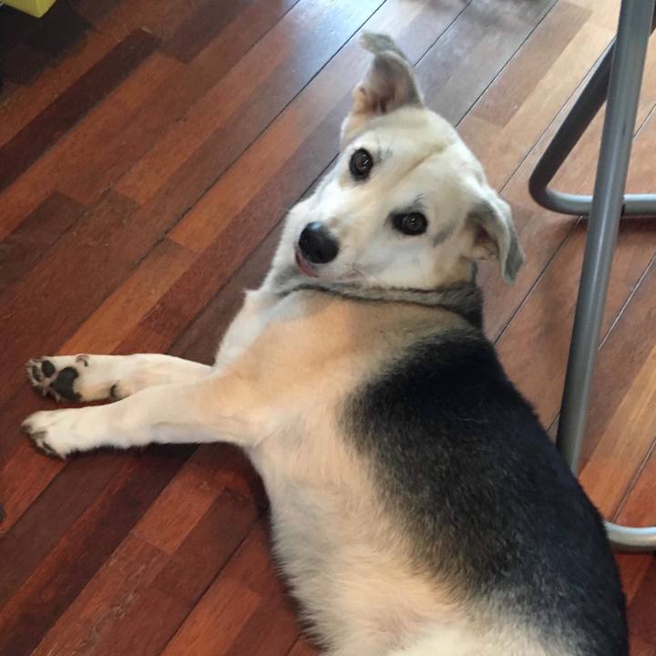 011df7e6 1390 484e a6b8 147f06ff2439 1538140309292