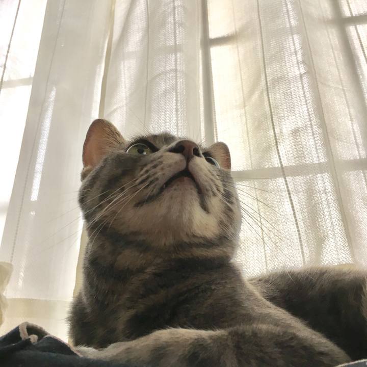 011e0182 9806 49f6 bd42 021bead9f868 1595421526610