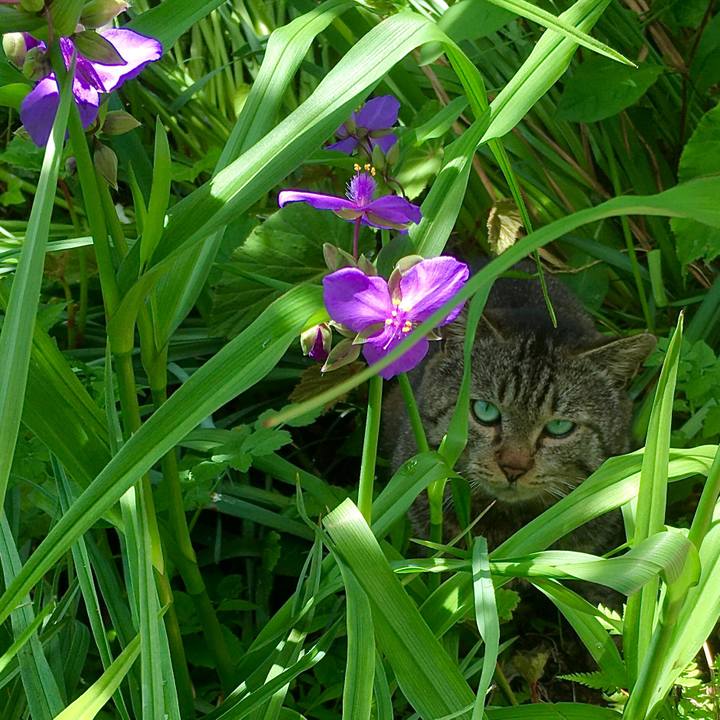 011e0627 f981 40ae ade4 2274be51c874 1621634360652