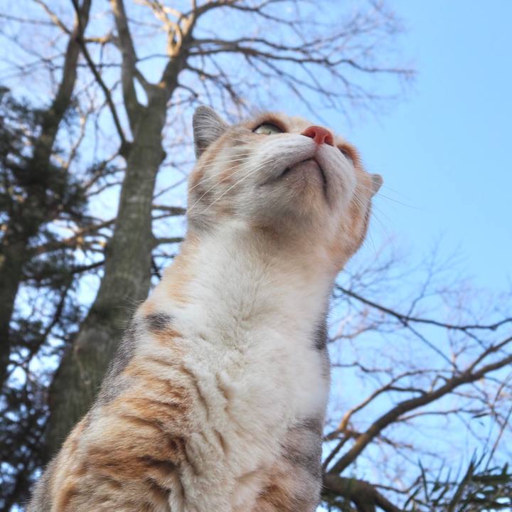 011e272b ca10 4e61 a08b 072cb31d631d 1765975864917