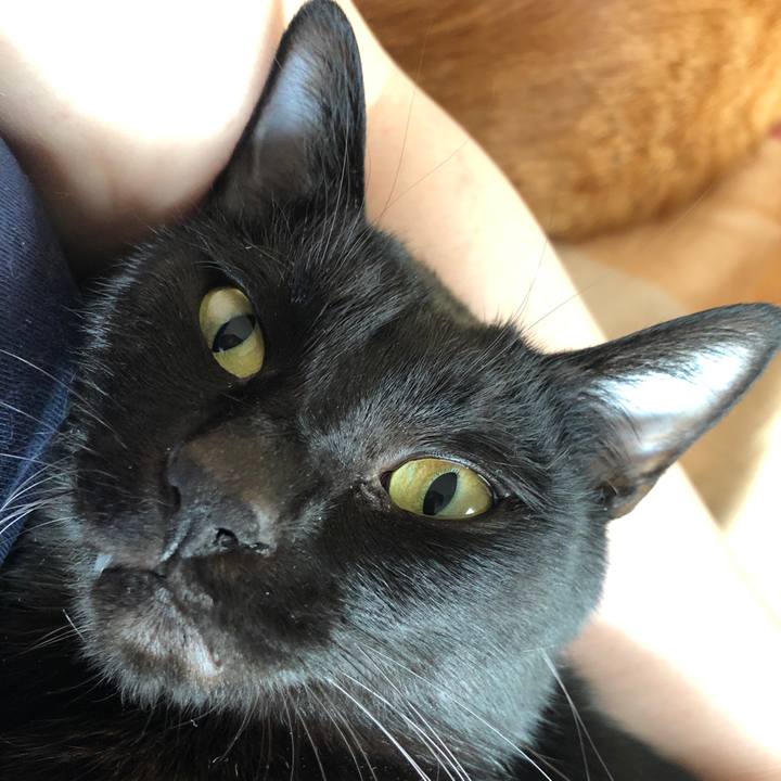 011ea561 8893 4d84 a41d 93a5729e6ef1 1669416376451