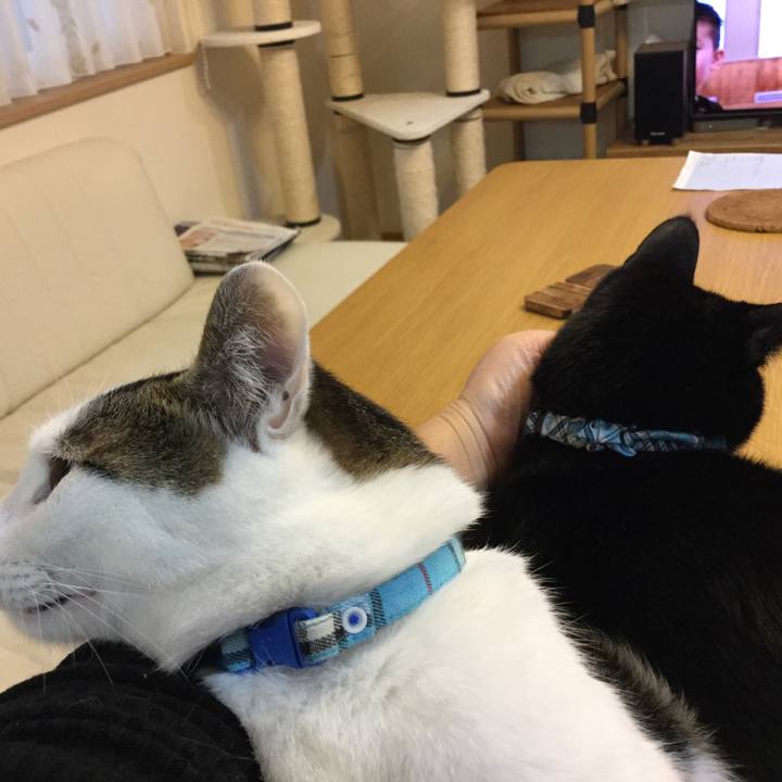 011ecbf9 3422 49c2 a246 0b475b0ec8cb 1515453014500