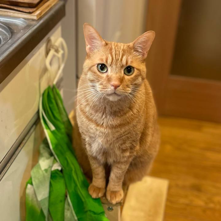 011ef4c4 8c53 4ca7 a961 5b5dcae27d4f 1704975550514