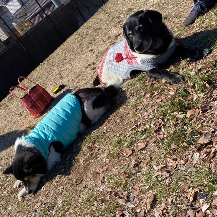 011f064c e676 4794 aced d463bc07becc 1645675190224