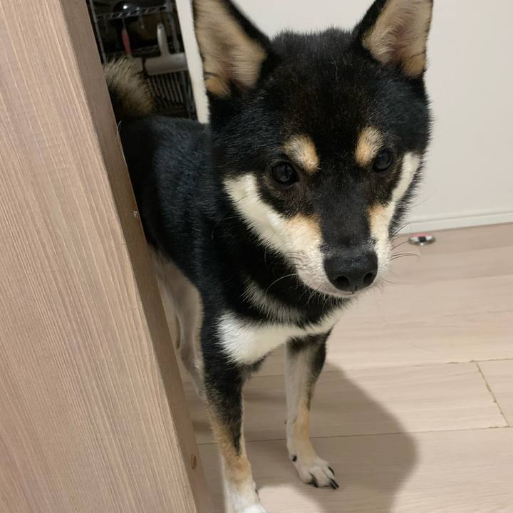 011f2c7e 4634 4f6f b5c6 d5366460e6d9 1625227205707