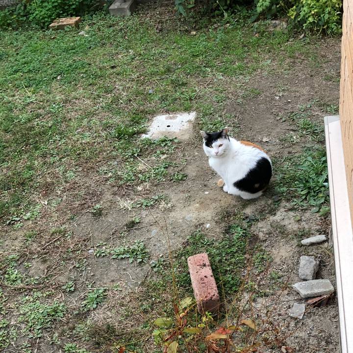 011f30c0 5bdc 4a1f ad13 783e9d5d06c5 1606774806705