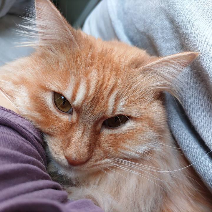 011f52a3 c527 43d0 8e74 ad0ddeaf49ce 1682216606190