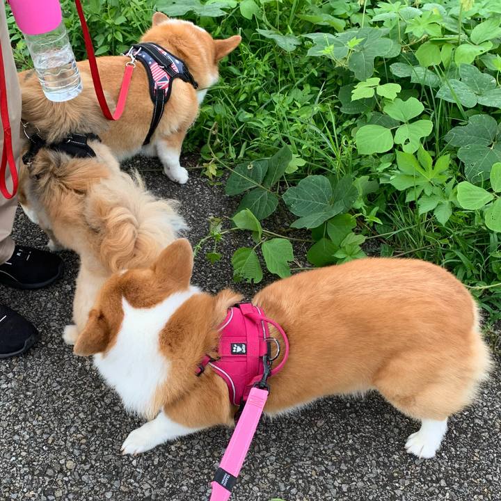 011f65d4 cc70 4c13 901b 10fa1c932078 1629932977922