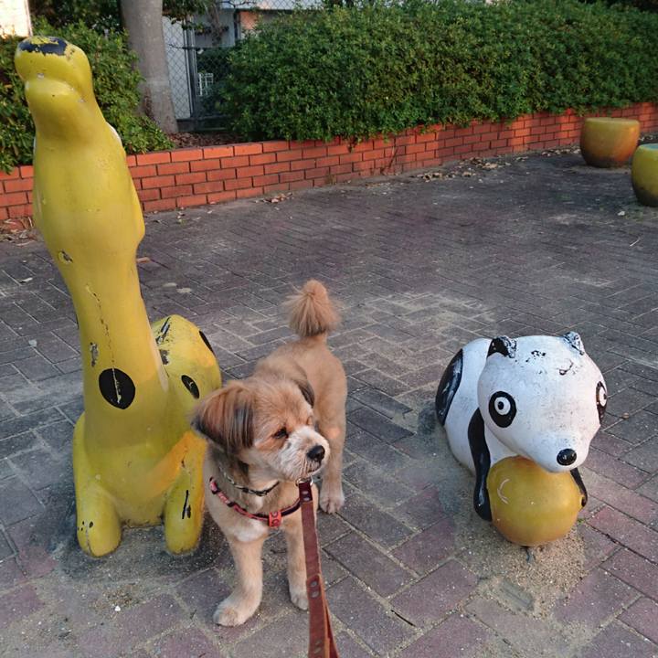 011f80ec d240 4a30 8f7a d6a797bc1fe9 1522188463441