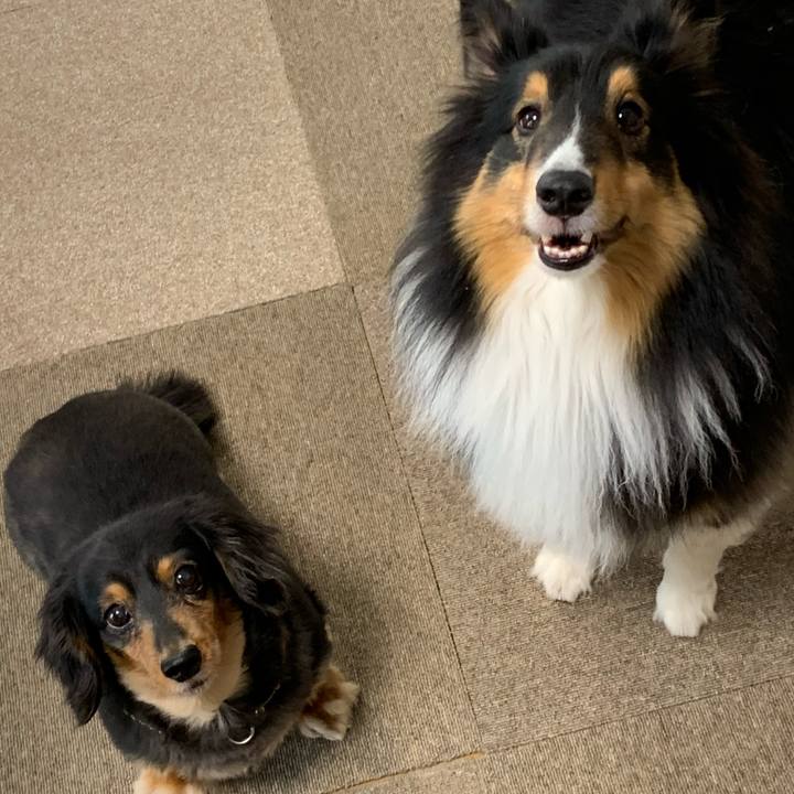 011f839c 8e2e 45d5 b3ad 4e7ceb0aa14a 1587419269513