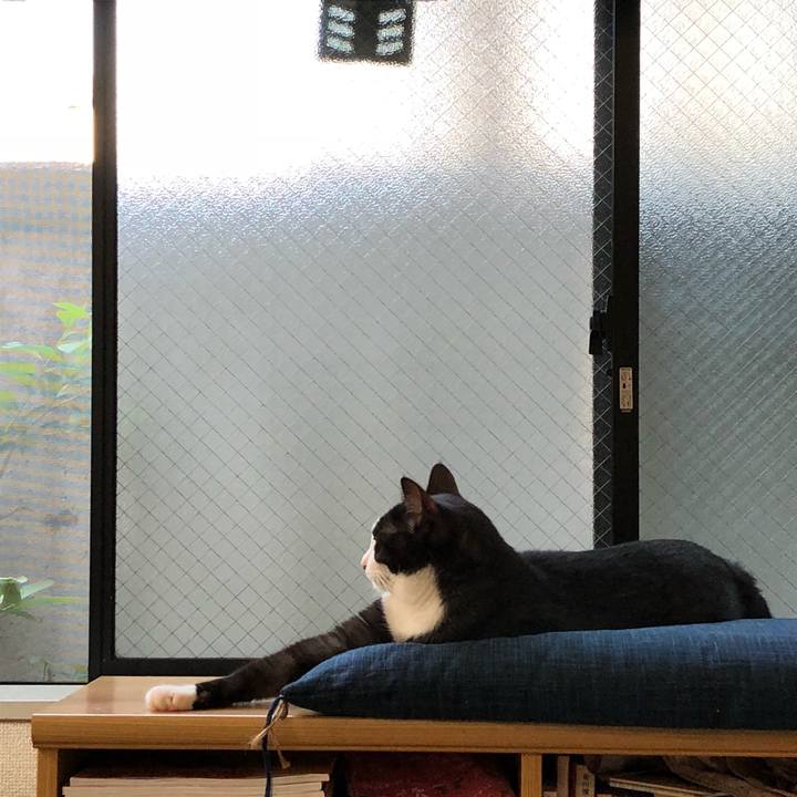 011fd2d2 95e9 40da bb28 54b7d6bc6a87 1533249866626