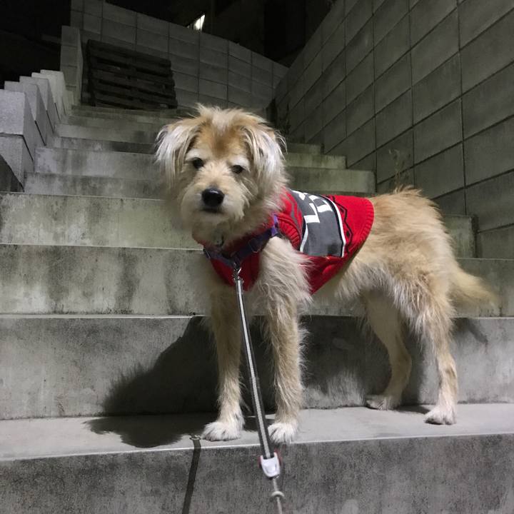 011ff311 8c54 4371 9072 5df6b466357c 1548072938026