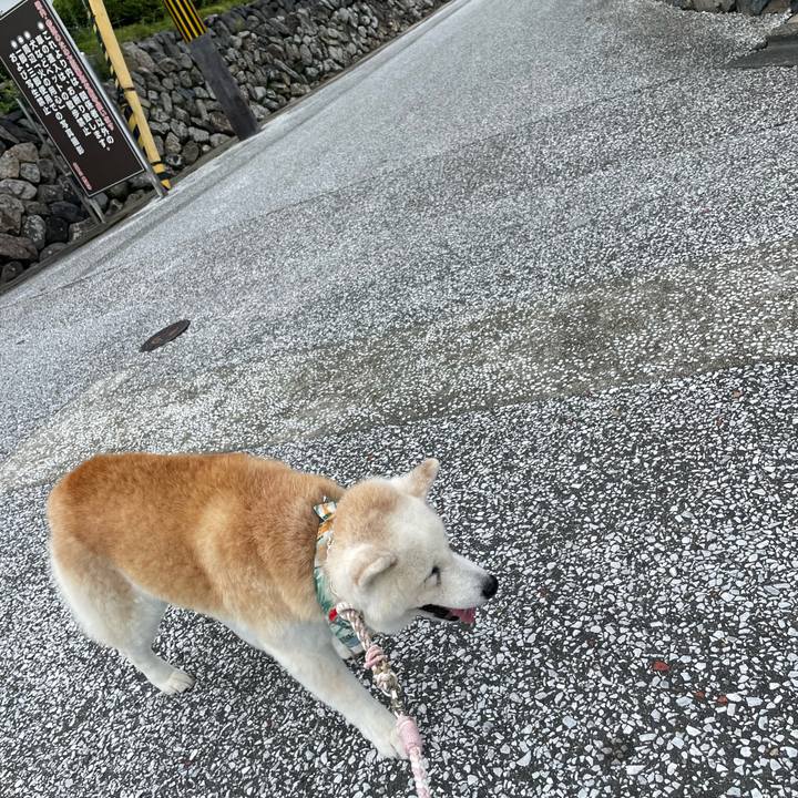 01201ba7 1fc9 44b1 ada0 d6228ed4241f 1725229271315