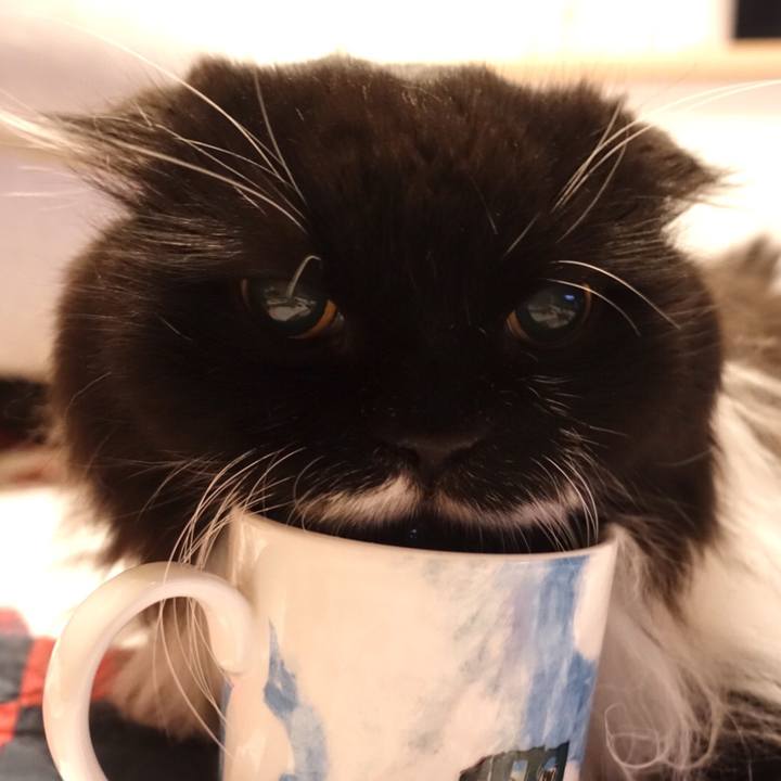 012029df dffc 40ca 90d1 d691952dfd57 1527951994731