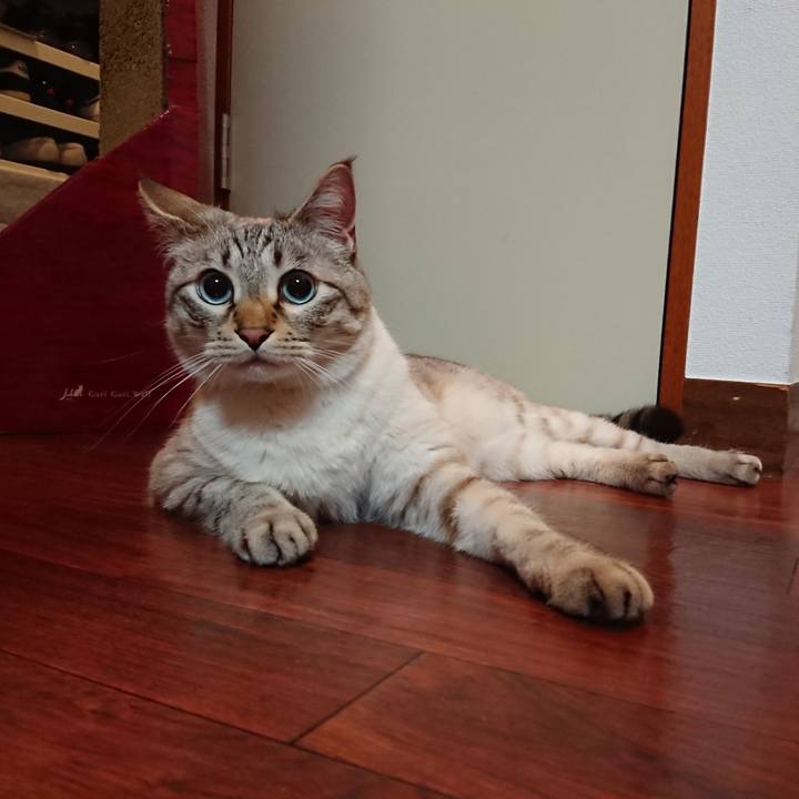 012033bd 432d 4546 87e8 3cd04f9bf85b 1588342314899