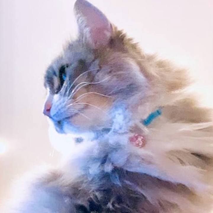 012074df 6bdf 43dc a60d 95b07ff443cf 1754494220972