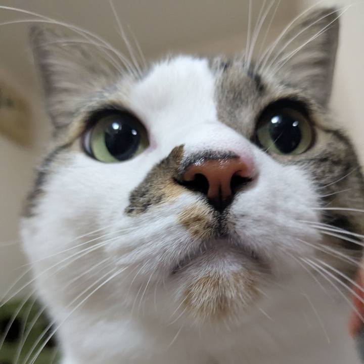 012081a3 1c1b 45fd b139 931e5962d70f 1739225117366