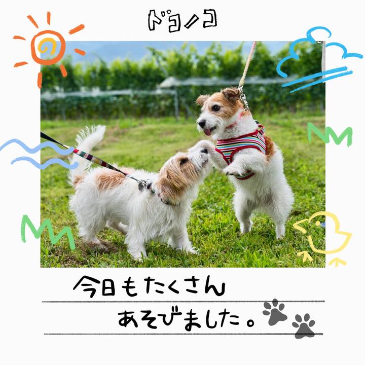 0120ceb4 d8b0 443a 8ffb 43de873e9beb 1755082516986