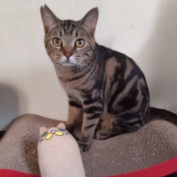 01211335 57b4 4dab bf6e da73df6c0571 1700815100701