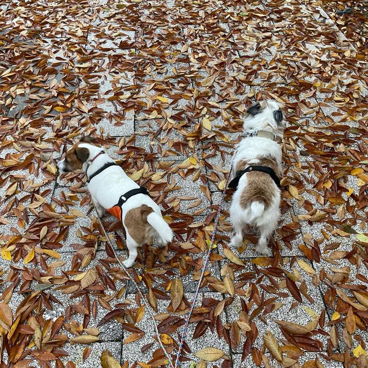 0121220b 1b29 47ed b761 f1723af06b16 1700781213113