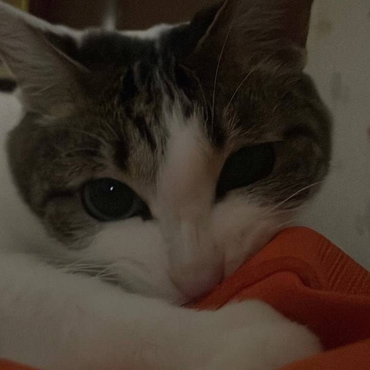 012141e8 5d22 4b4d a397 48edc2b72261 1675342703612