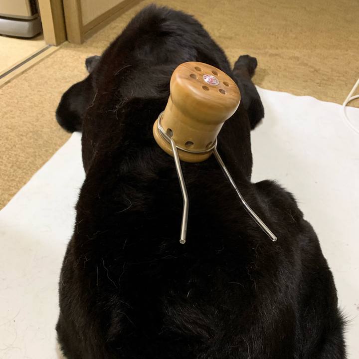 0121430e 28ca 4548 8baf e48679da189a 1557922478363