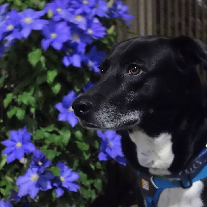 01218cbb c7d3 439d b07d 5e739d31d451 1681643359661