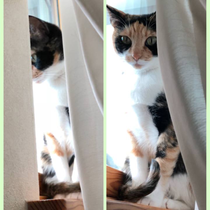 0121a719 57d0 4a0f b247 1e8d972cb7be 1524442470967