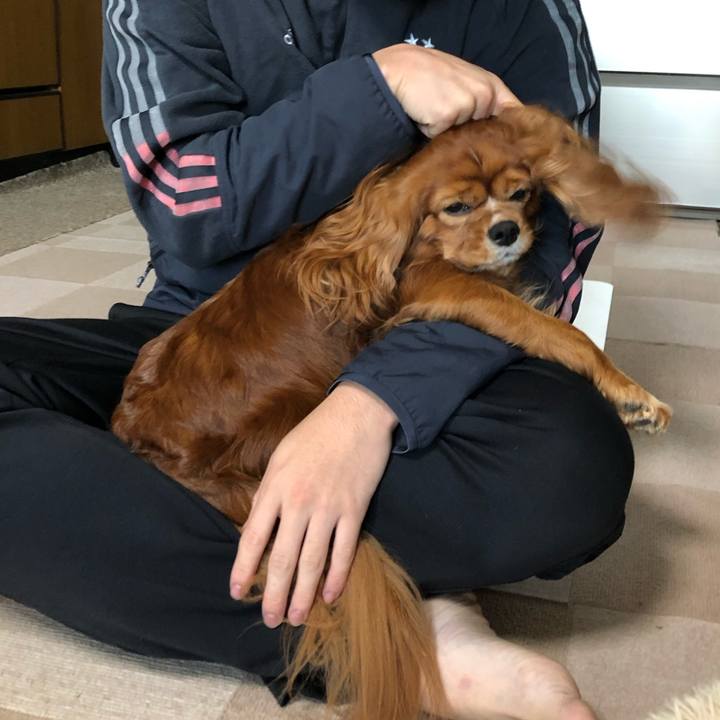 0121b04e ab9a 449b 8a15 0b1b981244c9 1635373661482