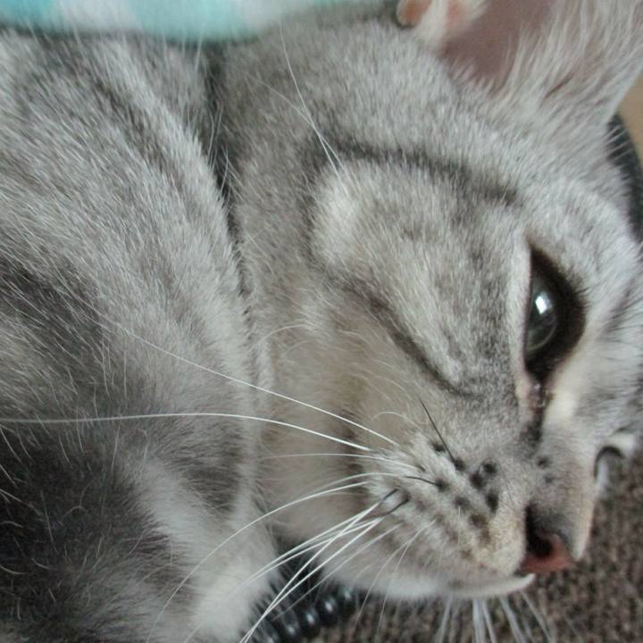 0121c335 ea33 453c b5c2 ce4cf4a1cbdc 1562414528708