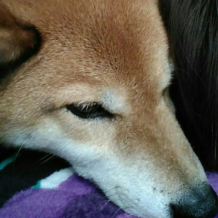 0121fdcf 519a 453f a7bd 8fdac6edfc35 1557718911966