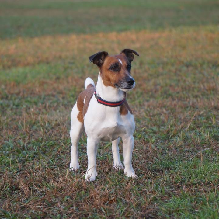 0122634e 84af 4cb4 bd6f 67def2c9d997 1543273085811