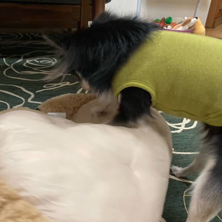 01226a1f d0ef 482c b428 bfbefe16247b 1644672984991