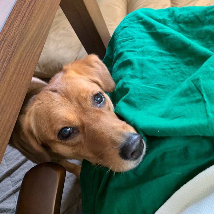 01226b9c 26fc 4905 b5f2 c926bcbc916a 1569554106204