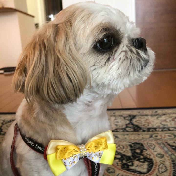 01228488 ef09 4adf 889d ea3de212c99f 1621807471493