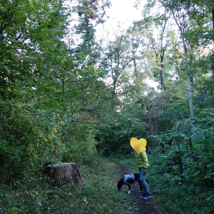 01228f43 ae34 4dbd ba5a afb8bec8651c 1730765334724