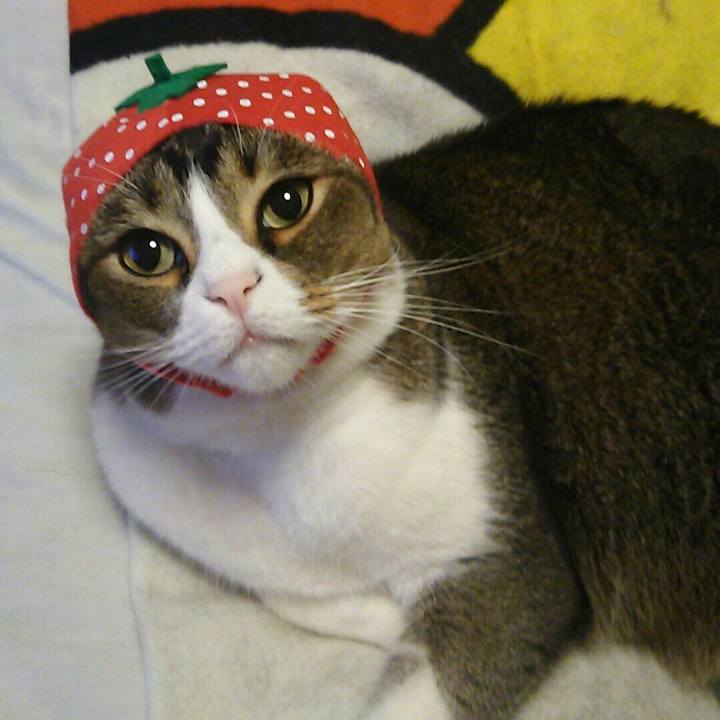 0122a36b fafc 45e7 b43c 96a1beb38dc1 1523016318690