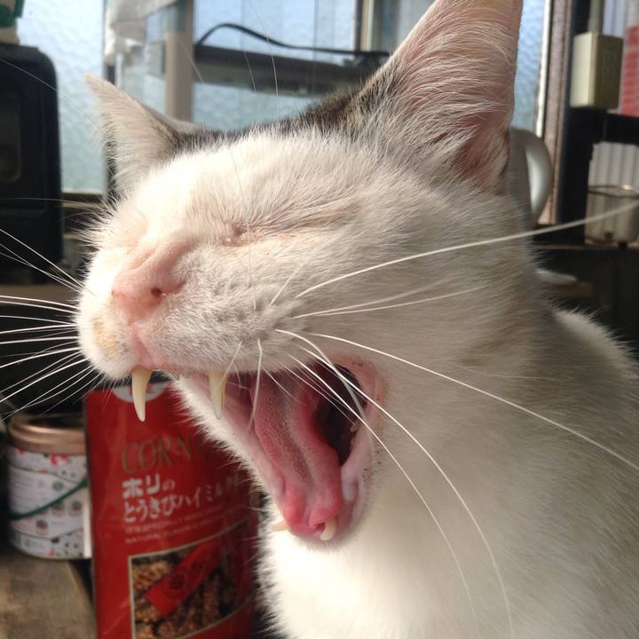 0122d60c aae6 4ff3 9221 525c8678a58a 1530099705383