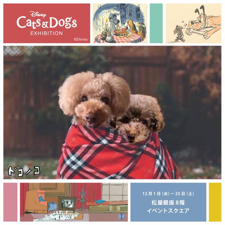 012340b3 cb91 444b 967b 9687fff8f8b5 1638878794341