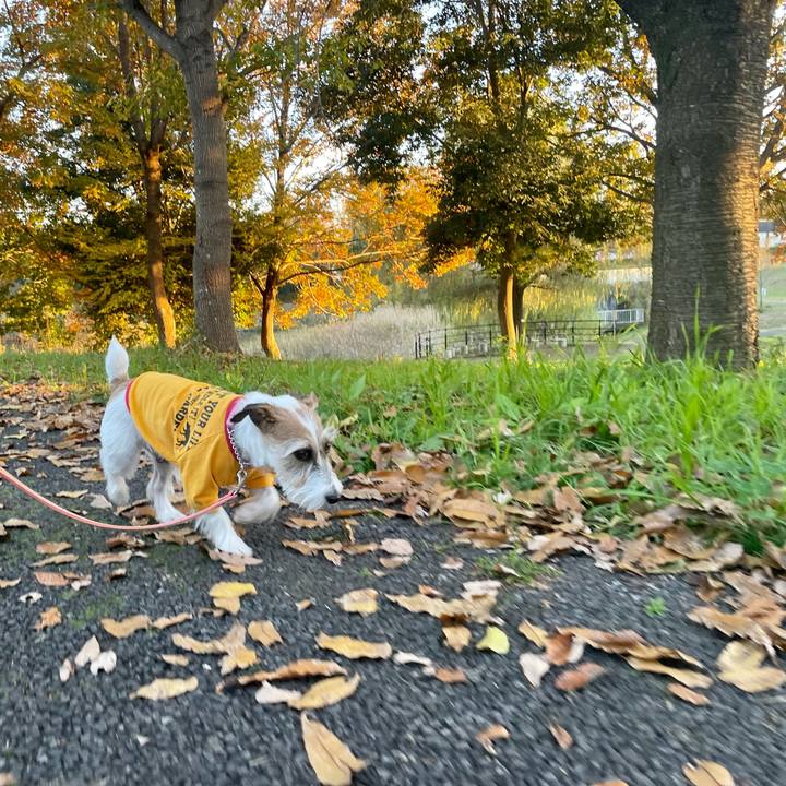 01234e2f 0d95 4c1f 9181 ac8e21b066b0 1637751451432