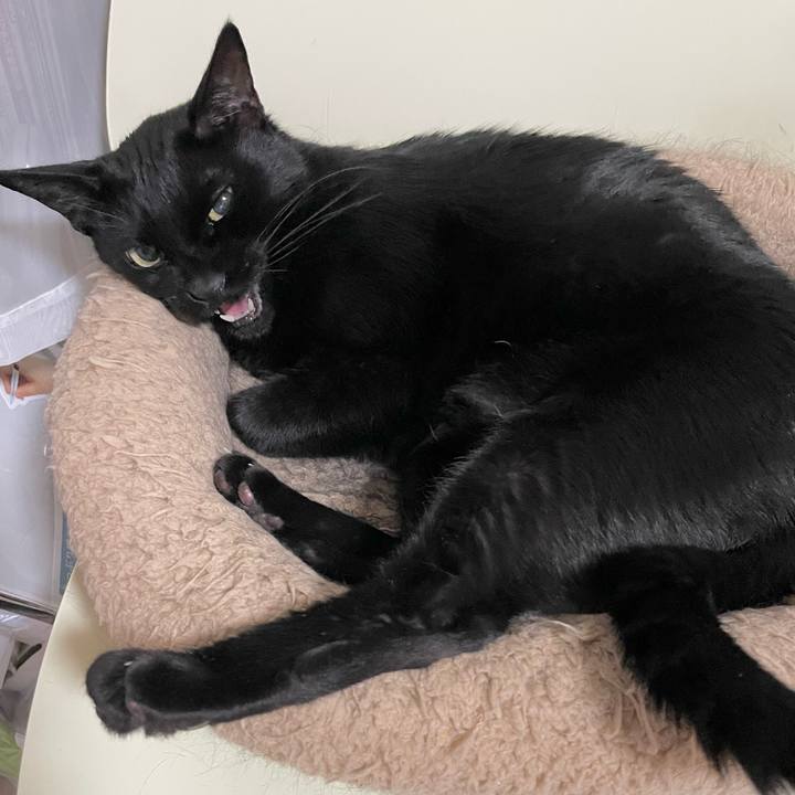 01237c72 8e69 4be8 8c16 0774dc5a0ee1 1694352941709